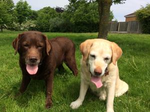 Kellie and Sophie