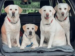 Tilly and daughters