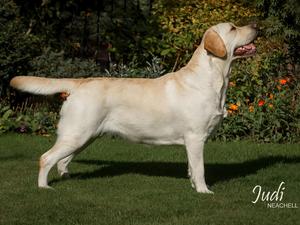 Tilly October 2014