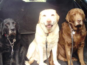 Dexter with his mum and dad