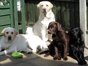 Betty and friends Sept 2015