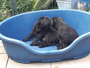 Playtime