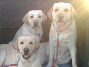 Amber and her daughters