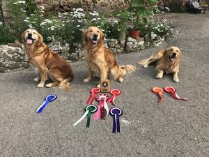 Alicia Alongside Chattafin scoops Best in Show.