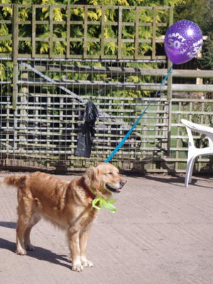 Annie, joining in the party!