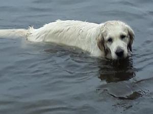 Mia keeping cool early on in the pregnancy