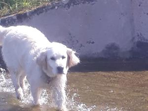 never happier than when she is wet