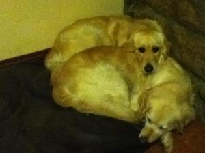 Molly & Deme