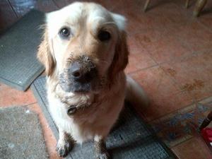 I so love mud!!