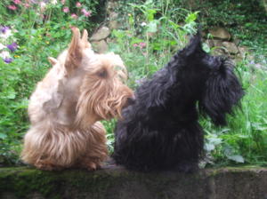 Ruby and Adam