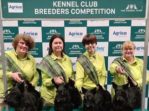 Team Divadell At KC Breeders Competition Finals