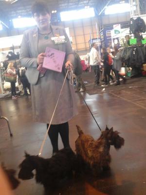 Delilah showing off her Card at Crufts!