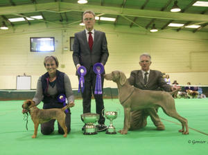 R.B.I.S. Herts & Essex Border C.A.