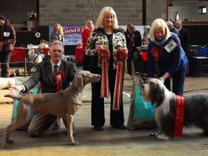 R.B.I.S. Great Yarmouth & Gorleston D.C.S.