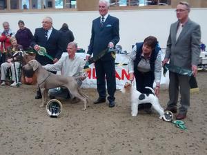 B.I.S. Suffolk Kennel