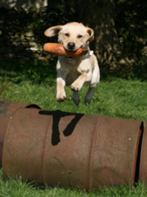 Jumping a barrel