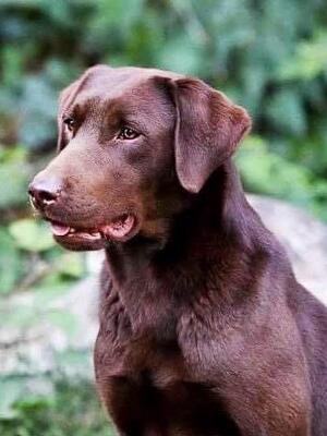 Monty