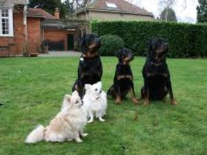 Group Photo