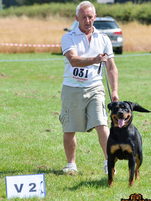Indriel BRSDC 2014 Intermediate