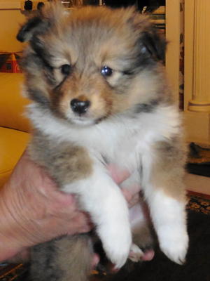 little boy available this weekend