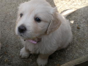 sitting so nicely