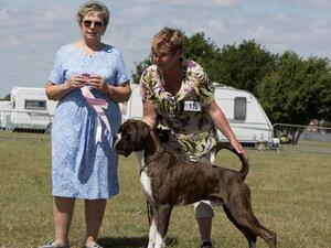 Boese Jiggerlardo JW