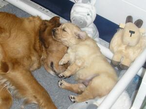 Eithne aged 4 weeks (with her Mum)
