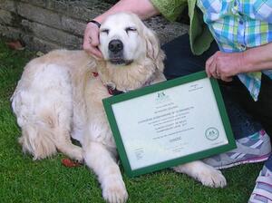 Grian's 15th birthday with Stud Book certificate