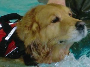 Noah's last swim - 10 April 2012