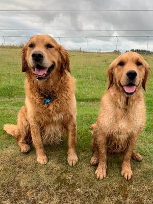 Cora with Bailey - 3 September 2019