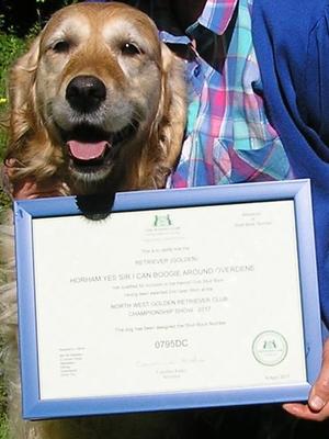 Esme with her Stud Book Certificate - May 2017