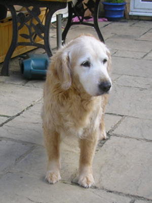 on her 15th birthday - 17 August 2012