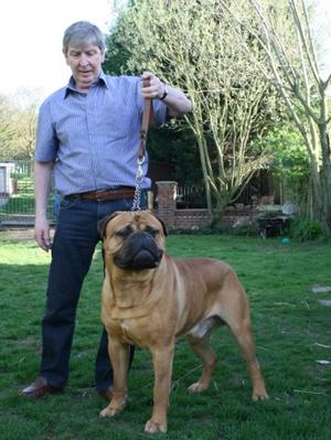 Bullproof Bertie by Flintstock