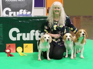 1st and 3rd placings at Crufts 2020