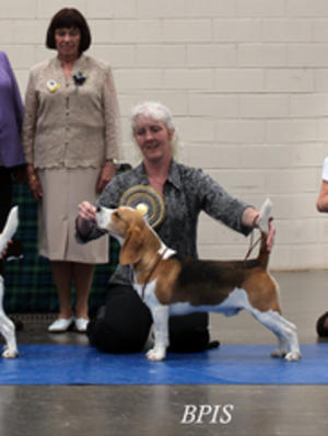 Best Puppy In Show at SBC 2014