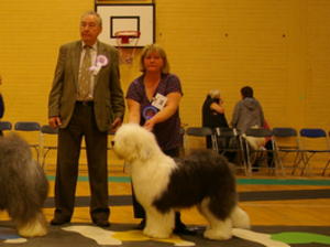 1st MPD, Best PD and Best Puppy In Show