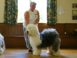 Nth Western OES Club Open Show - RBPIS