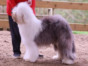 HUMPHREY - APRIL 2024 - AGED 10 MTHS