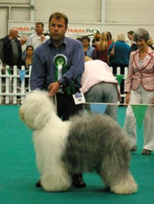 IKC Champ Show - 28th Aug 2011