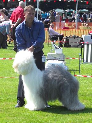 1st Open Bitch & Res Green Star