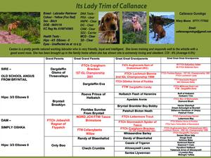 Castan's 5 generation pedigree