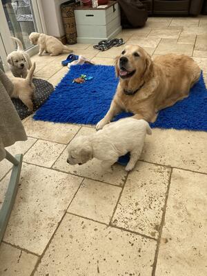 Briar with her boys