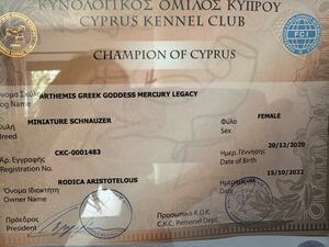 Champion of Cyprus diploma