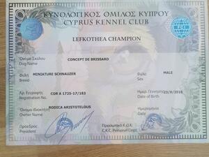 Lefkothea Champion