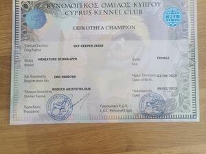 Lefkothea Champion