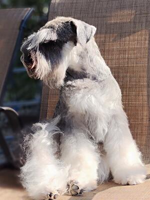 Miss Peggy