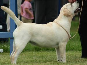 THIS WAS HER FIRST SHOW