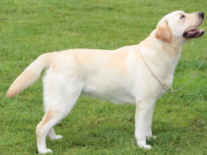 FOLLY 14 MTHS OLD