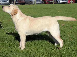 FOLLY 6MTHS OLD