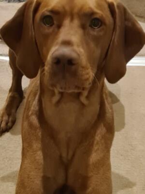 Roxy